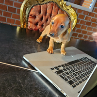 Cuccioli di Bassotto Nano o Kaninchen