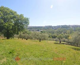 Terreno Residenziale Perugia [AV2025-044VRG]