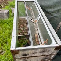 Cabina telefonica vintage