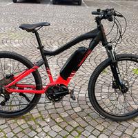 Bici elettrica wayscral anyway E300