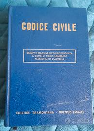 Codice Civile esempi e massime