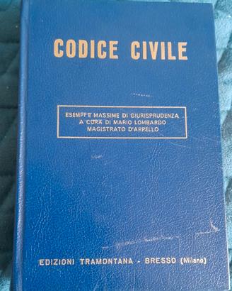 Codice Civile esempi e massime