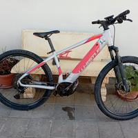 e-mtb Whistle Atala