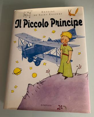 Il Piccolo Principe