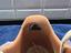 Immagine 4