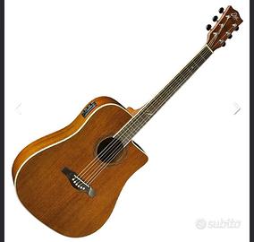 Acustica Eko Evo D cw eq