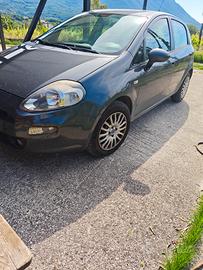 FIAT Punto 1.3 MJT II 75 CV 5 porte Street