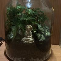 Terrario
