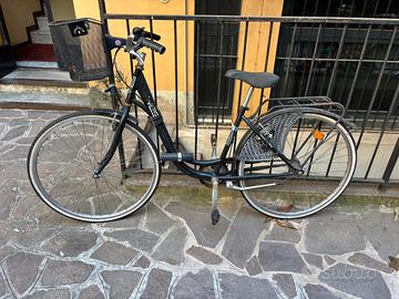 Bicicletta WEG