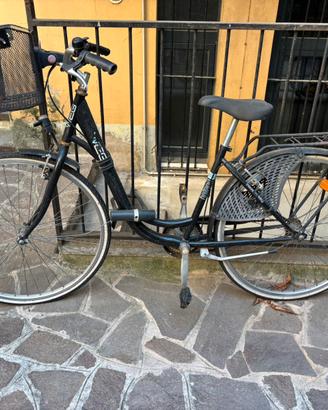 Bicicletta WEG