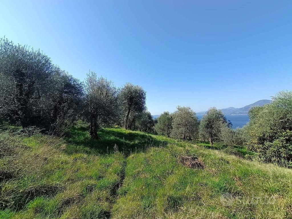 Terreno di 3627 m² a Torri del Benaco - Altro