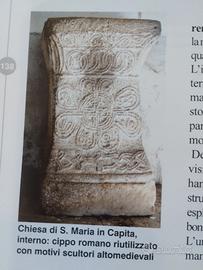 Libro Teverina storia arte cultura con allegati