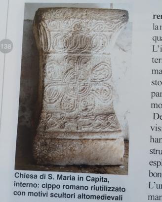Libro Teverina storia arte cultura con allegati