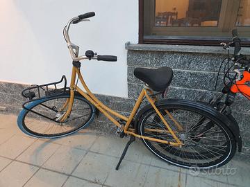 Bicicletta olandese