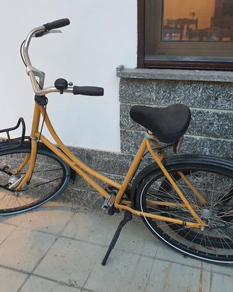 Bicicletta olandese