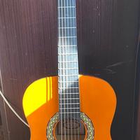 Chitarra C.giant