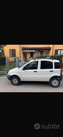 Panda 4x4