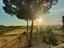 Immagine 26