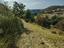 Immagine 20