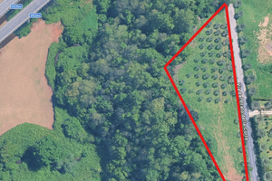 terreno agricolo