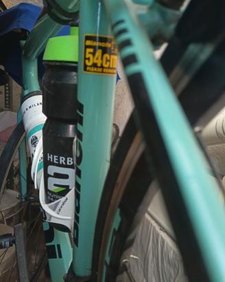 Bianchi Intrepida Carbon, veloce da strada, 2016