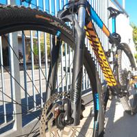 MTB Torpado ribot C