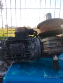 motoriduttore vite senza fine, trifase