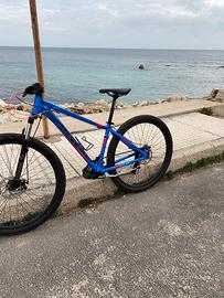 Bici MTB Adriatica 29”