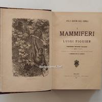 Figuier, I mammiferi. Vita e costumi animali, 1907