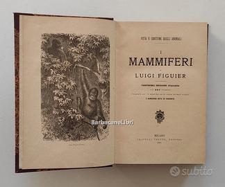 Figuier, I mammiferi. Vita e costumi animali, 1907