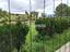 Immagine 28