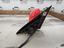 Immagine 23