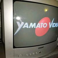 TV CRT 14 POLLICI AMSTRAD 