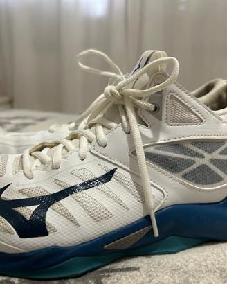Scarpe Mizuno 42