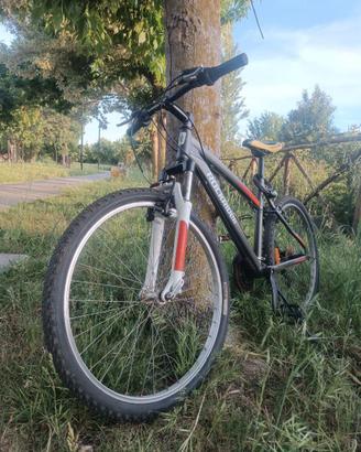 Bici ROCKRIDER