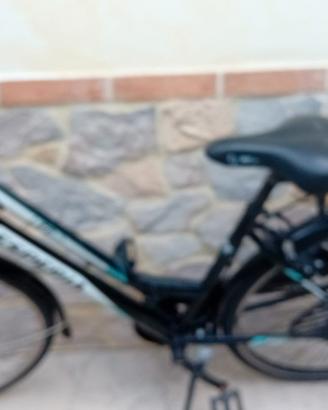 bicicletta