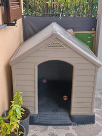 Cuccia cane