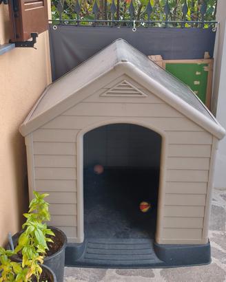 Cuccia cane