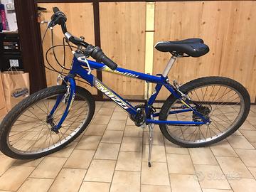 Bicicletta MTB Nuzzi Graffiti Evolution