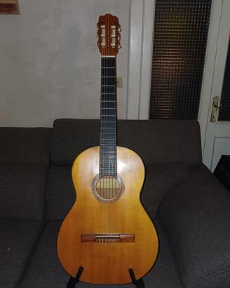 chitarra RASPAGNI