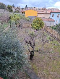 Casa Indipendente con Giardino
