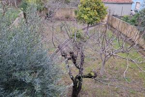 Casa Indipendente con Giardino