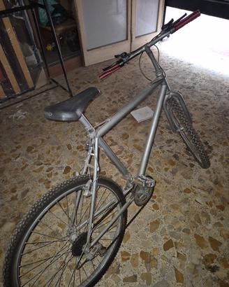 Mountain bike