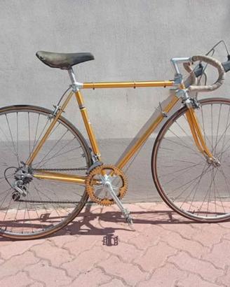 Bici da corsa telaio Leri