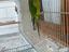 Immagine 2