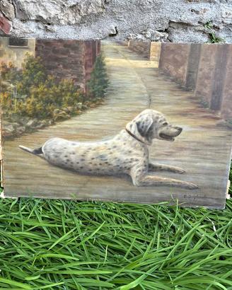 Ritratto di cane
