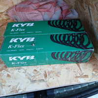 Molle posteriori dacia duster 2014