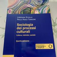 Sociologia dei processi culturali Libro