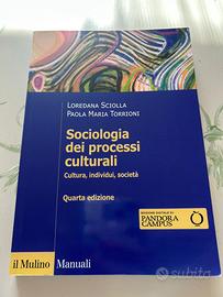 Sociologia dei processi culturali Libro
