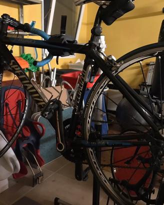 Bici da corsa specialized